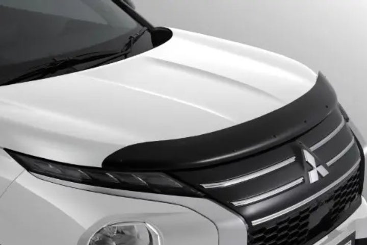 Hood Protector - Tinted
