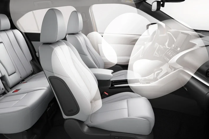Dual front airbags