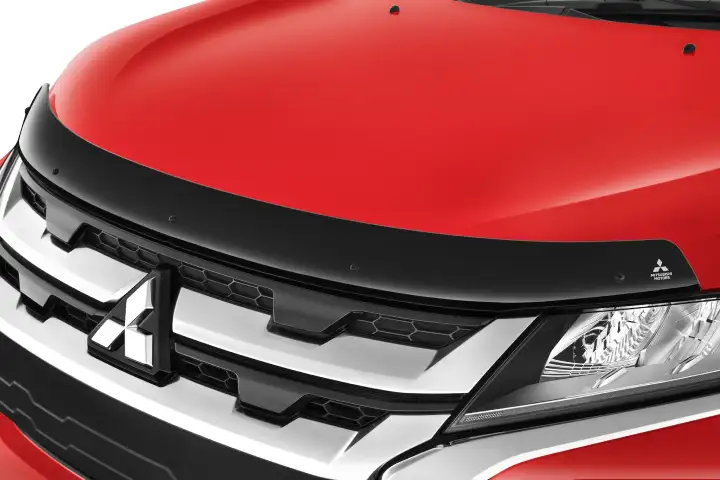 Hood Protector - Tinted