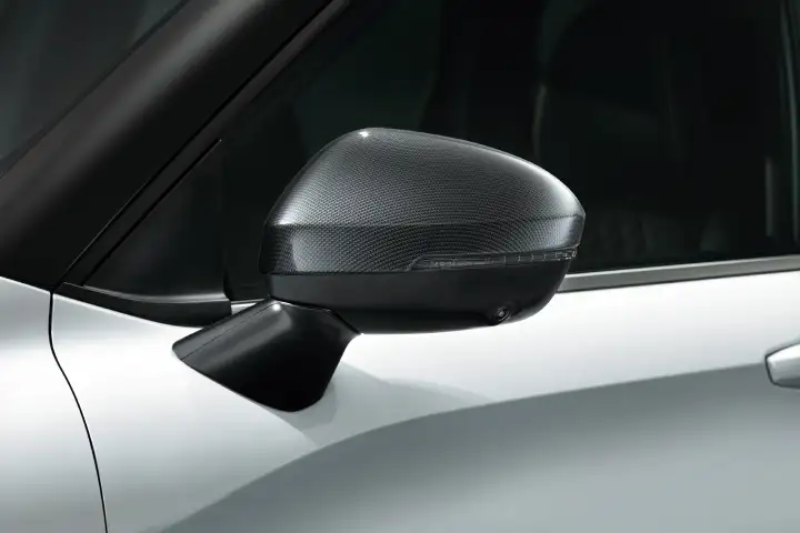 Mirror Covers - Carbon
